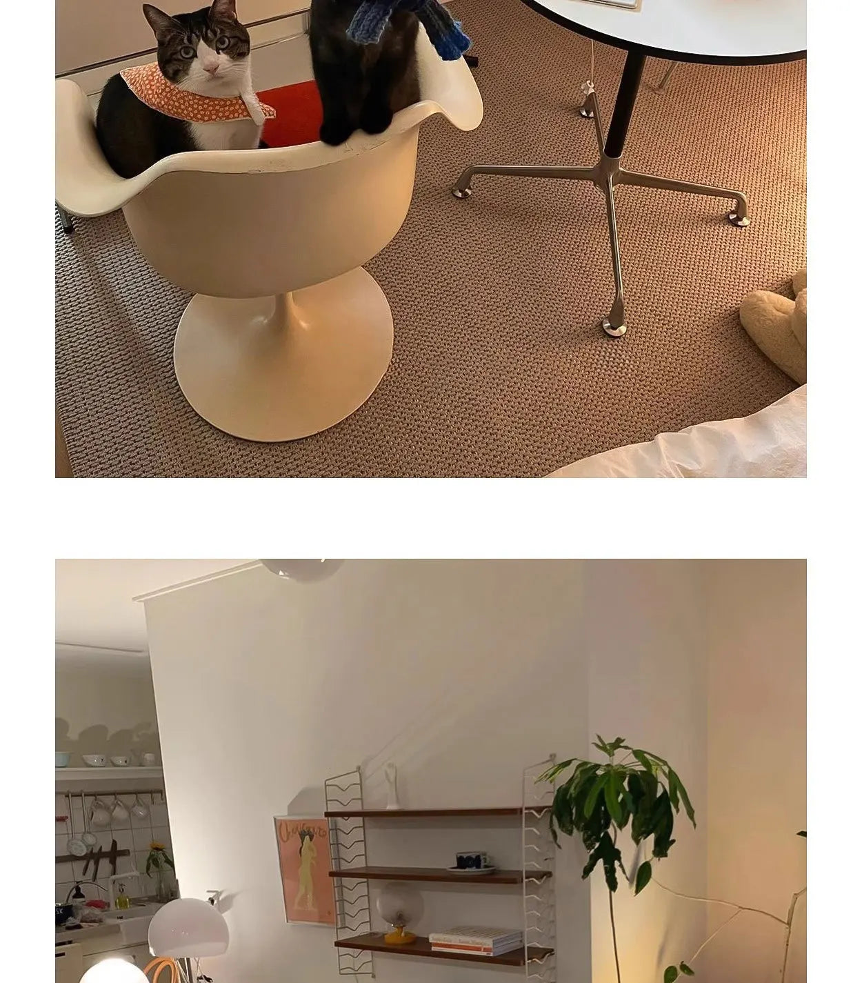 Nordic Eames Round Table